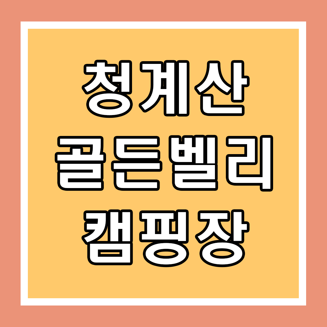 타이틀