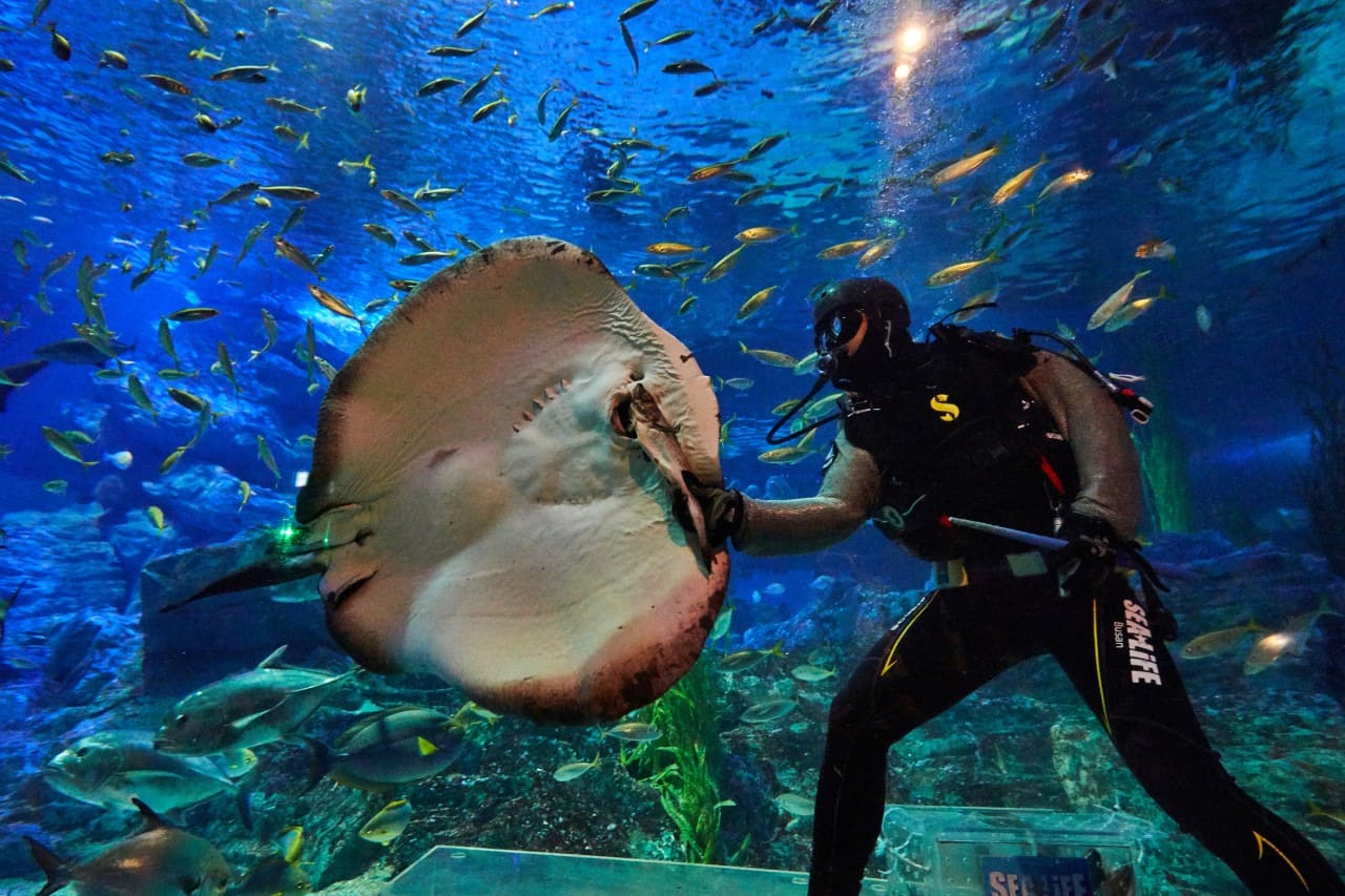 씨라이프 부산 아쿠아리움