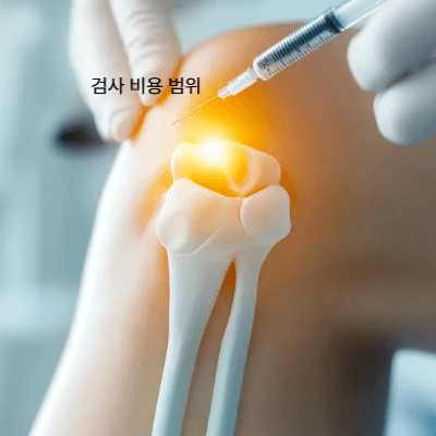 골다공증 검사 비용 & 보험 적용 총정리 (2025 최신 가이드)