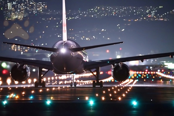 일본여행 출입국 과정 경험담