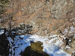 휴애리 자연휴양림 입장료 할인받는 3가지 방법