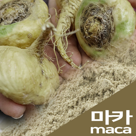 마카의 효능