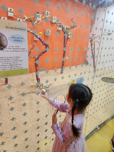 기흥 하이주 실내 테마파크