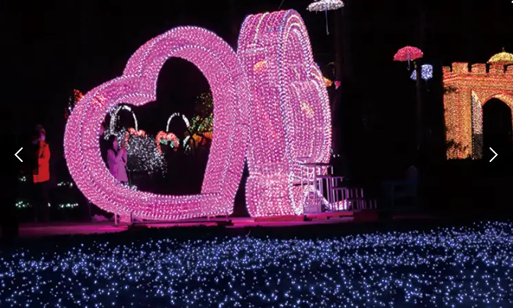 겨울 축제 가볼만한 곳 아침고요 수목원 오색별빛정원전