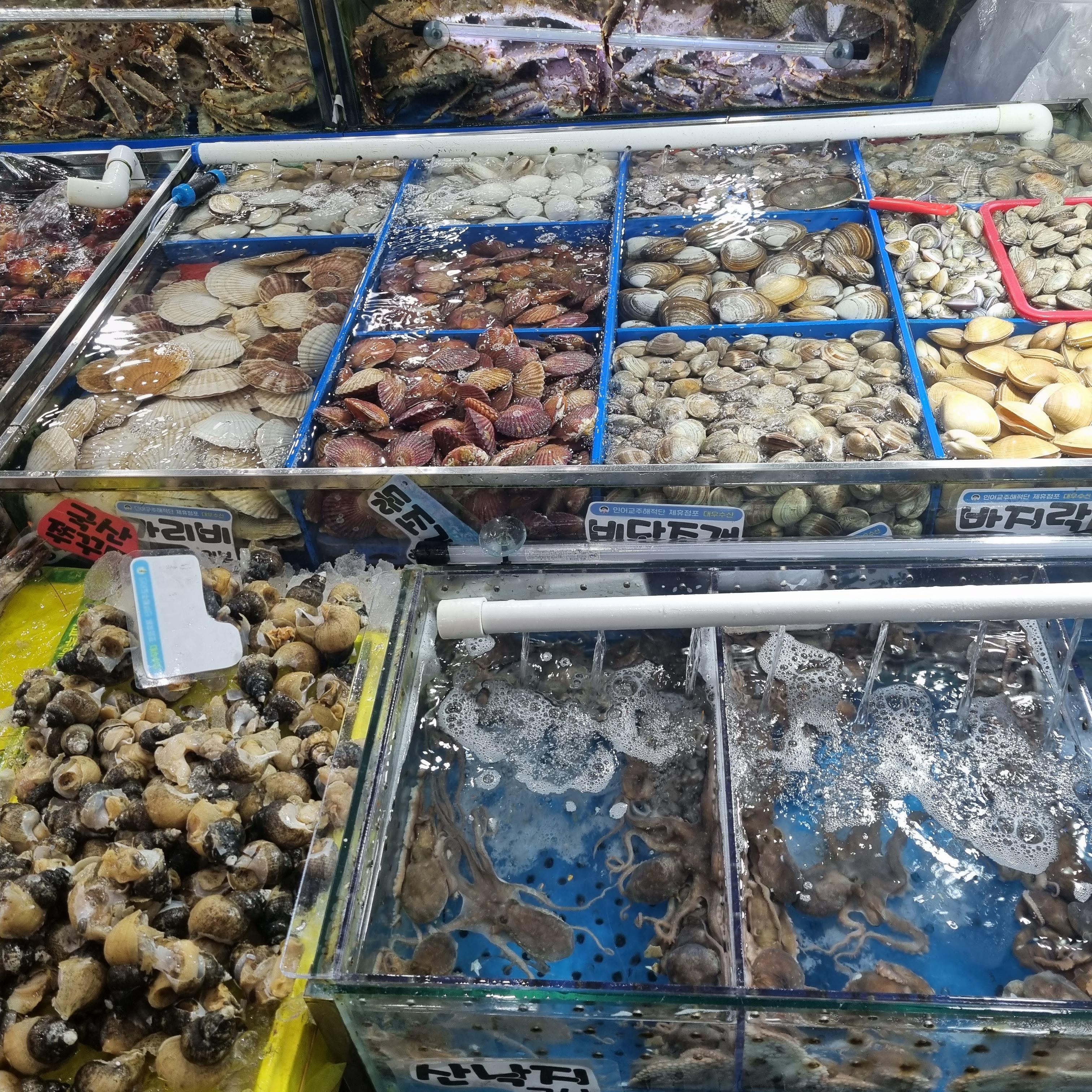수원 수산물 도매시장 낙지