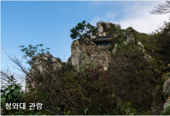 청와대 관람 신청