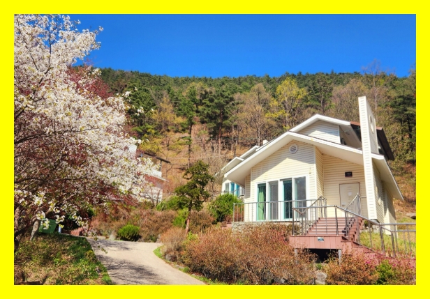 자연휴양림 예약자격&amp;#44; 휴양림 추첨제도&amp;#44; 자연휴양림 예약시간&amp;#44; 여름 캠핑 예약&amp;#44; 산속 캠핑장 추천&amp;#44; 국립야영장 예약&amp;#44;