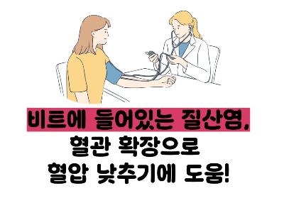 비트 효능 및부작용