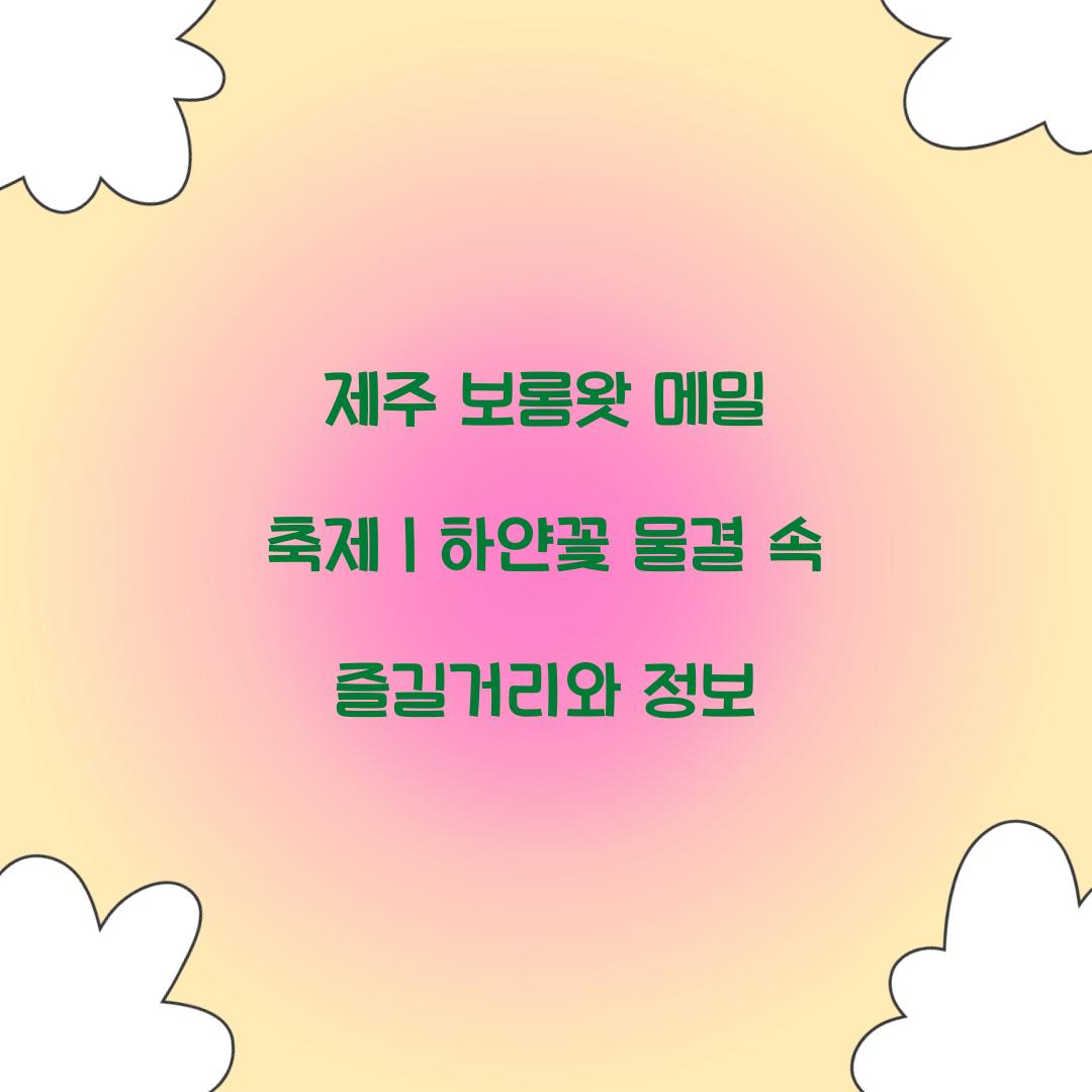 제주 보롬왓 메밀 축제