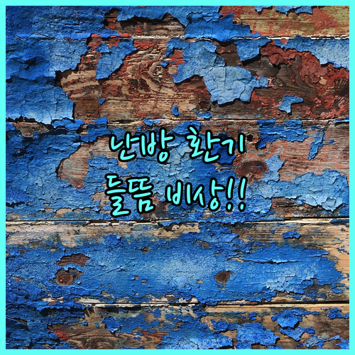 도배 후 절대 금지! 벽지 찢김과 들..