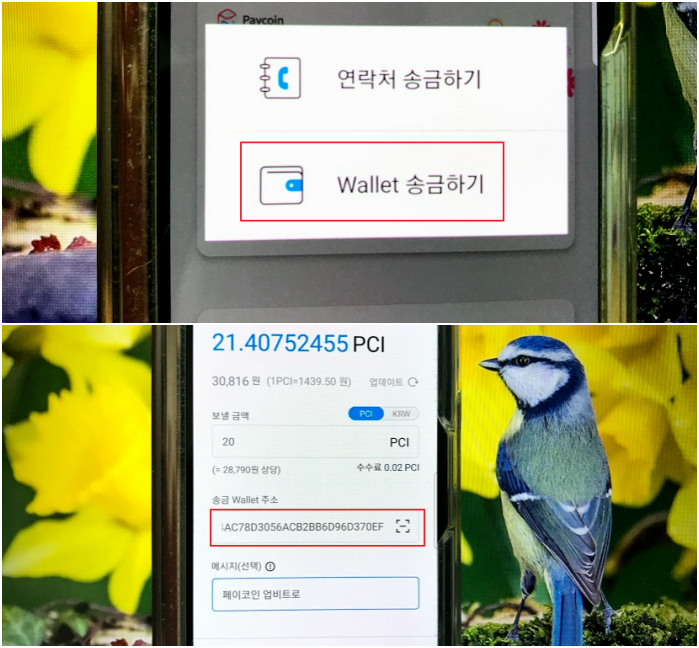 페이코인 현금화 업비트 이용 방법_7