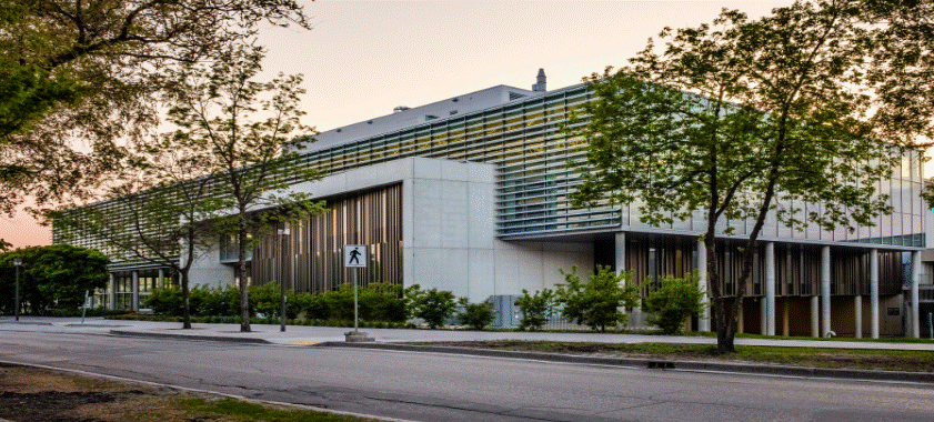 올해 뜨는 내신 6등급 유학 국가 사진