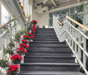 경기도 대형 카페