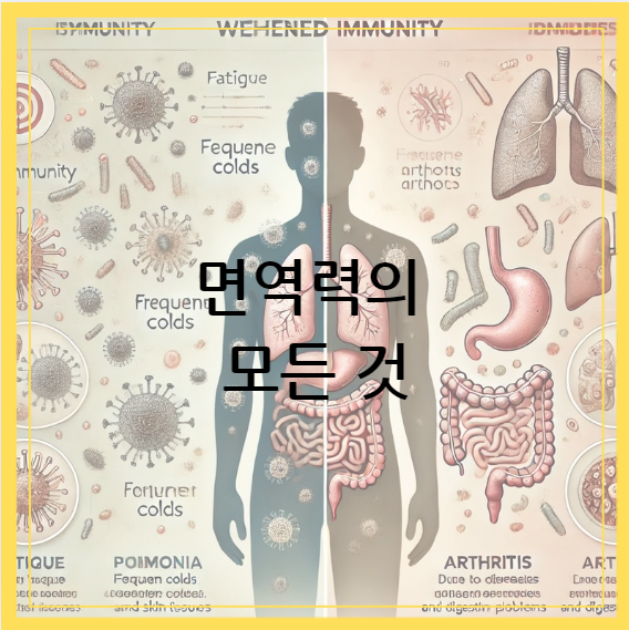 면역 체계 약화로 인한 주요 질병의 발생 원인과 증상을 설명한 이미지. 감기, 관절염, 폐렴 등 면역력 저하로 인한 주요 질환이 강조