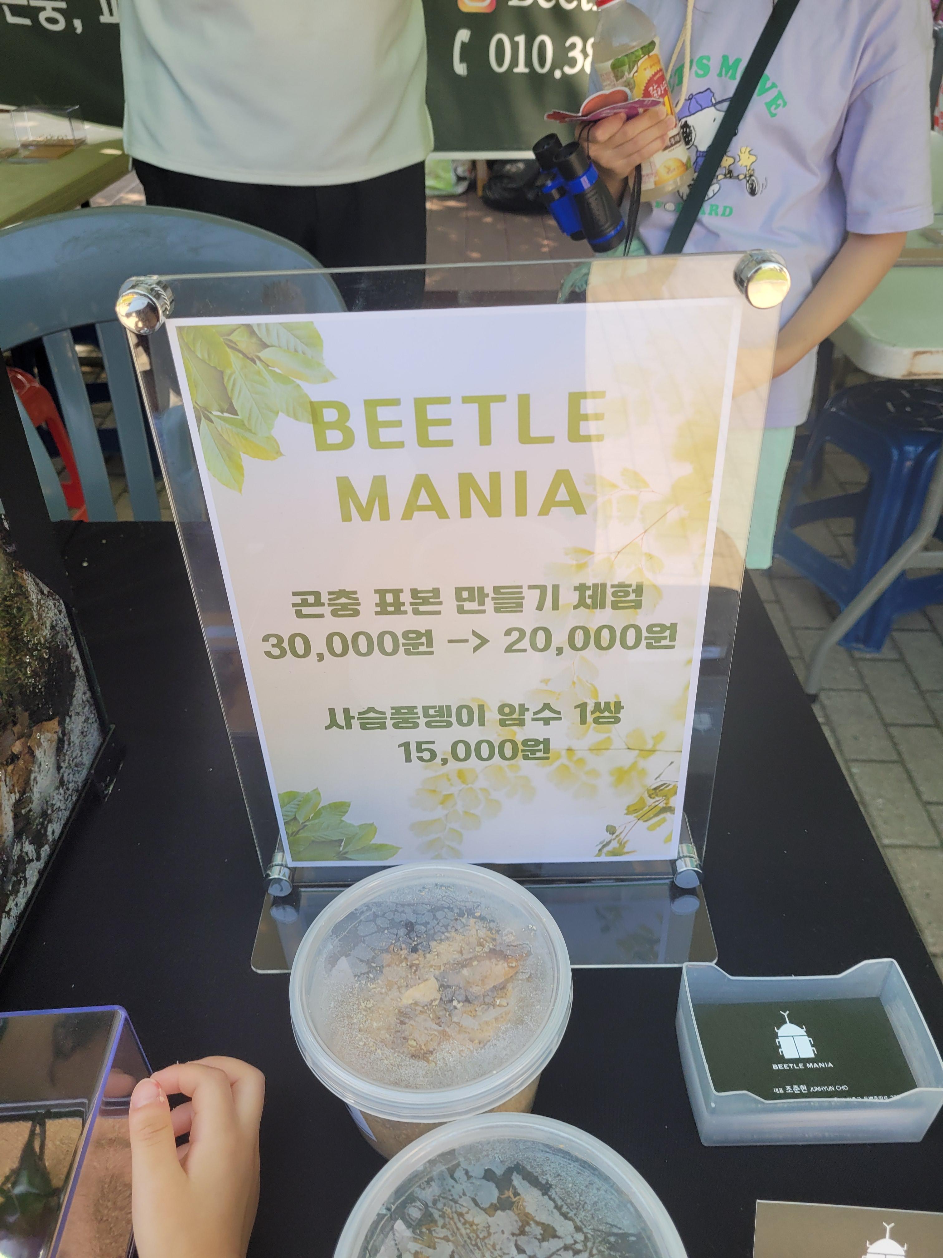 애완곤충