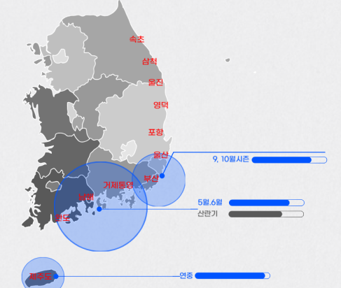 무늬오징어 시즌 지역별 동해 남해 부산 울릉도 포항 제주도 에기 에깅 낚시 총정리 1