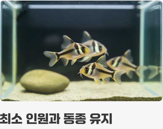 함께하면 즐거워! '떼' 지어 키우기