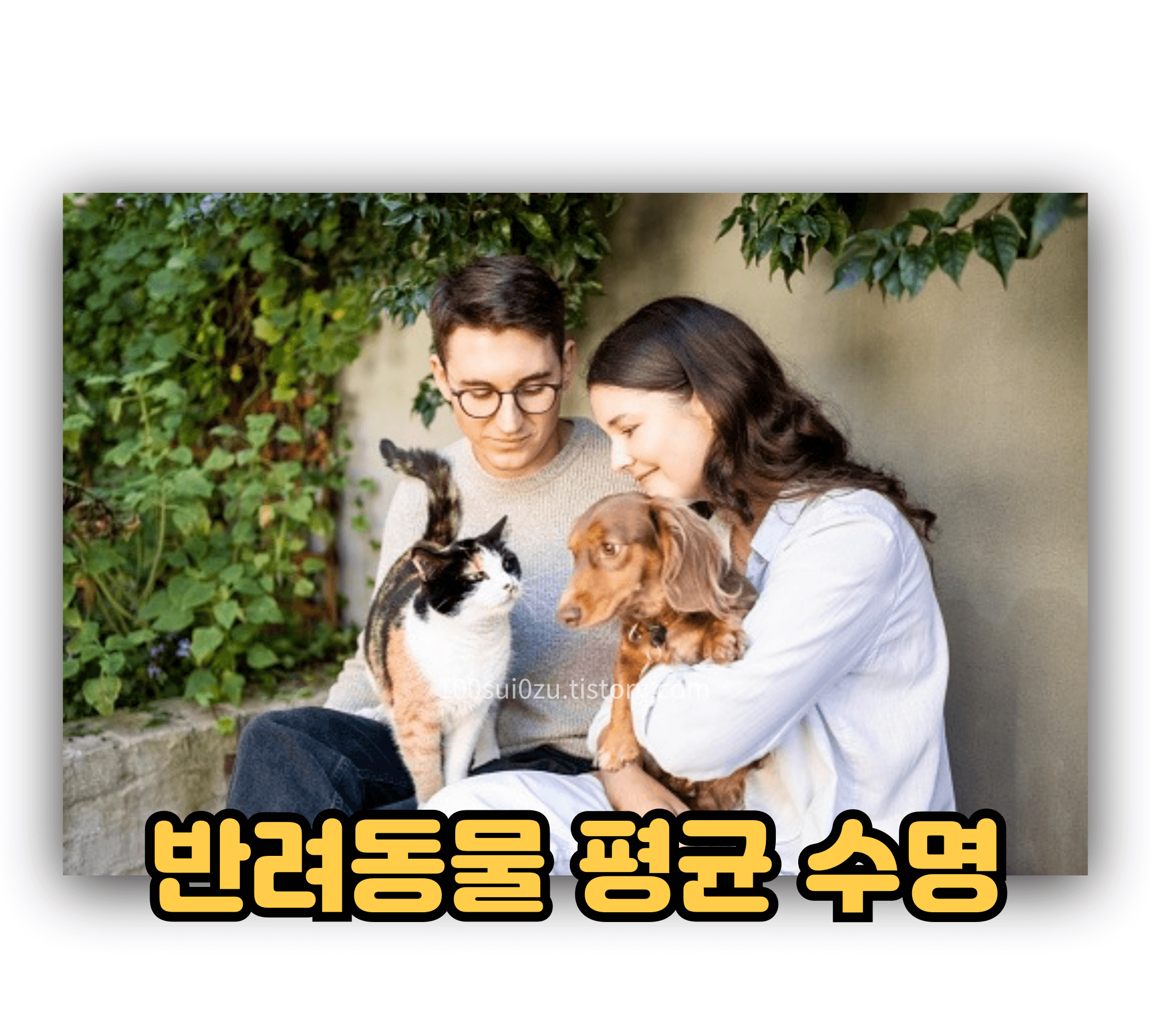 반려동물-평균-수명.jpg