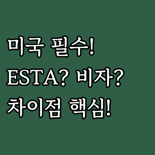 ESTA와 미국 비자의 차이점..