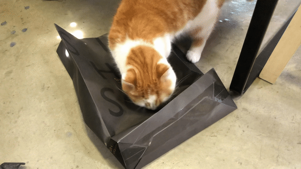 페스룸스프레이