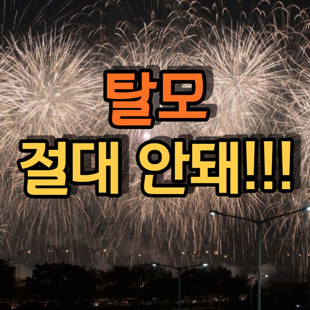 탈모-절대-안돼