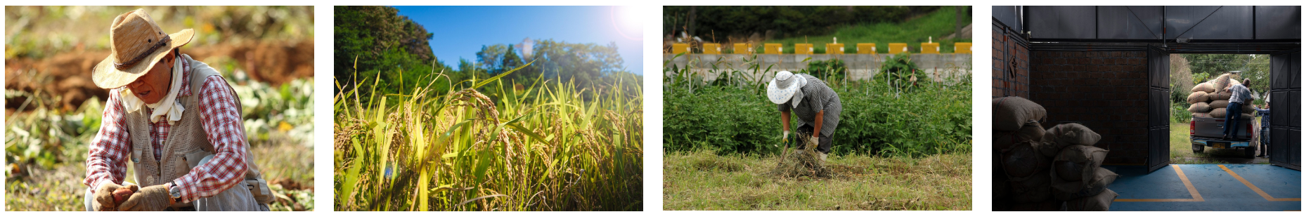 공익직불금 관련 사진
