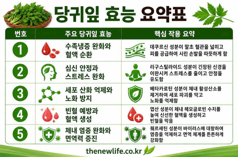 당귀잎 효능 요약표