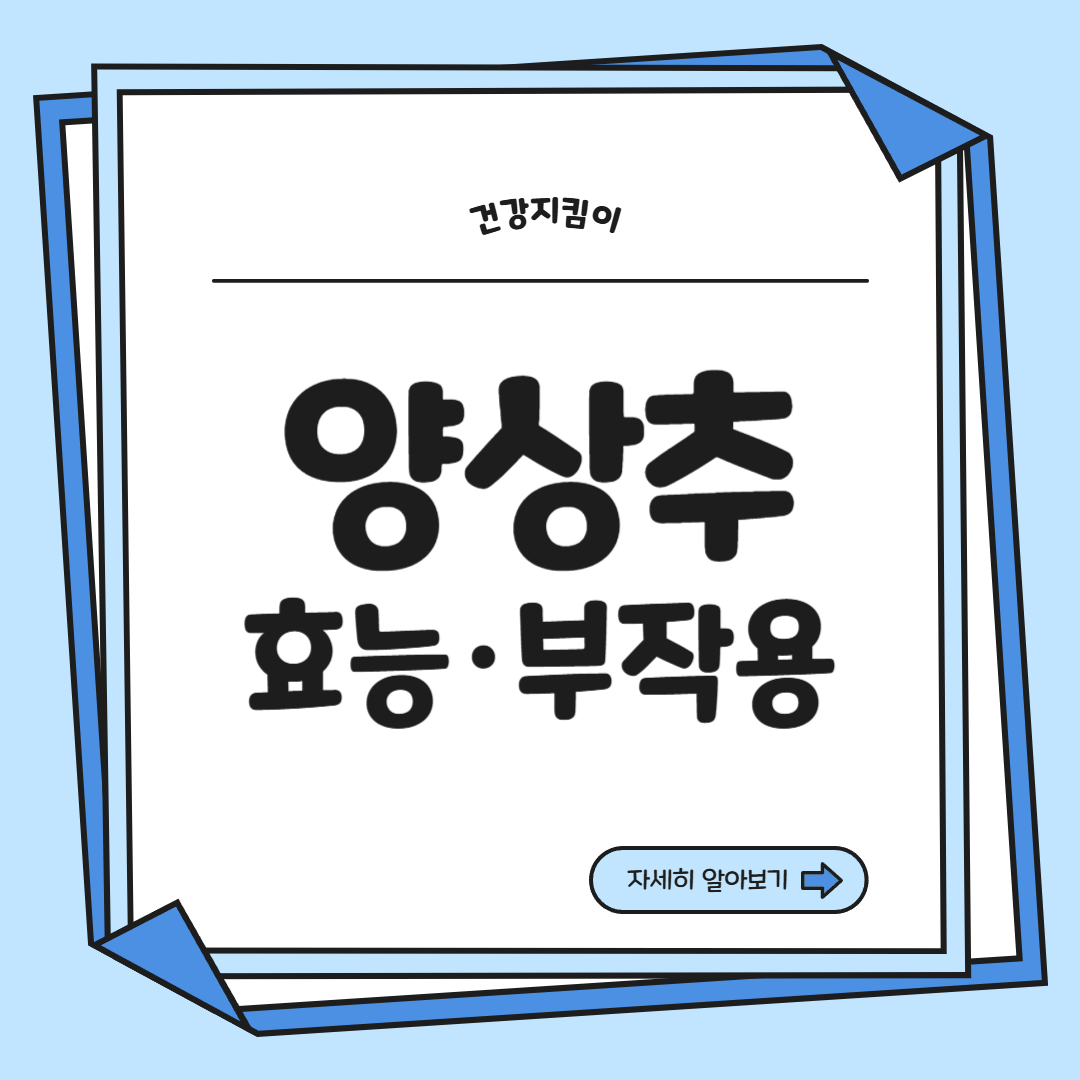 양상추 효능 부작용 고르는법 칼로리