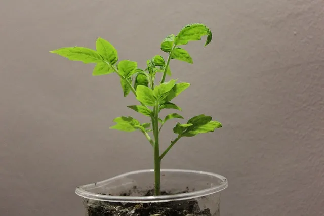 토크 단위 환산표 변환 방법_6