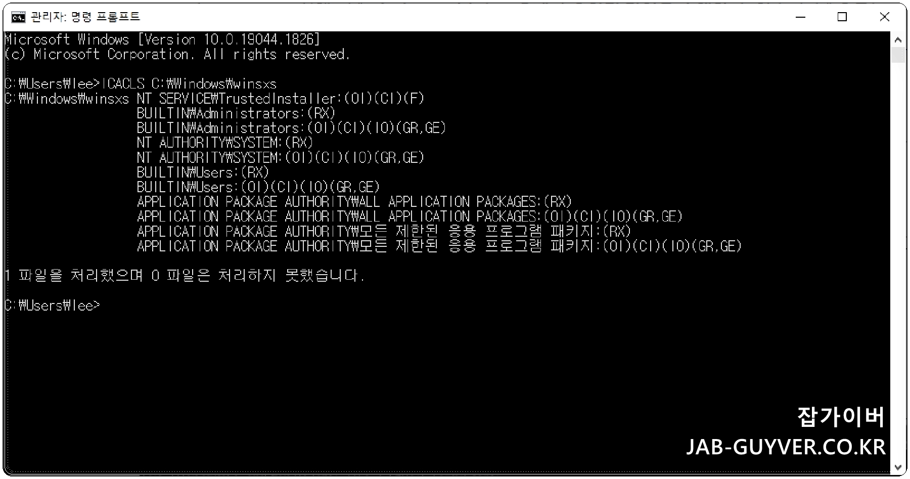 WinSxS 폴더에 대한 ICACLS 실행 결과 화면
