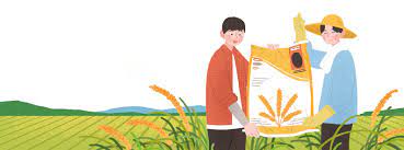 2025년 농업 공익직불금 신청 방법&amp;#44; 일정 및 주의사항 총정리