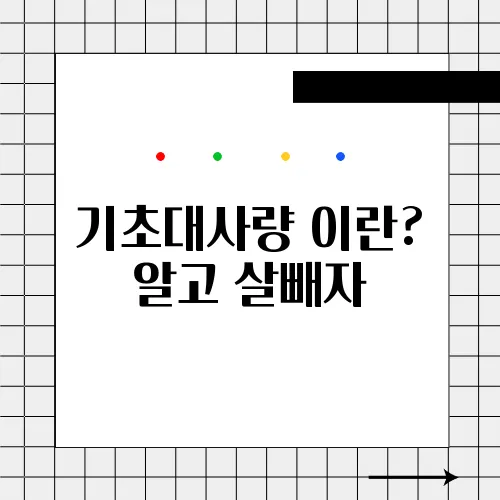 기초대사량 이란? 알고 살빼자