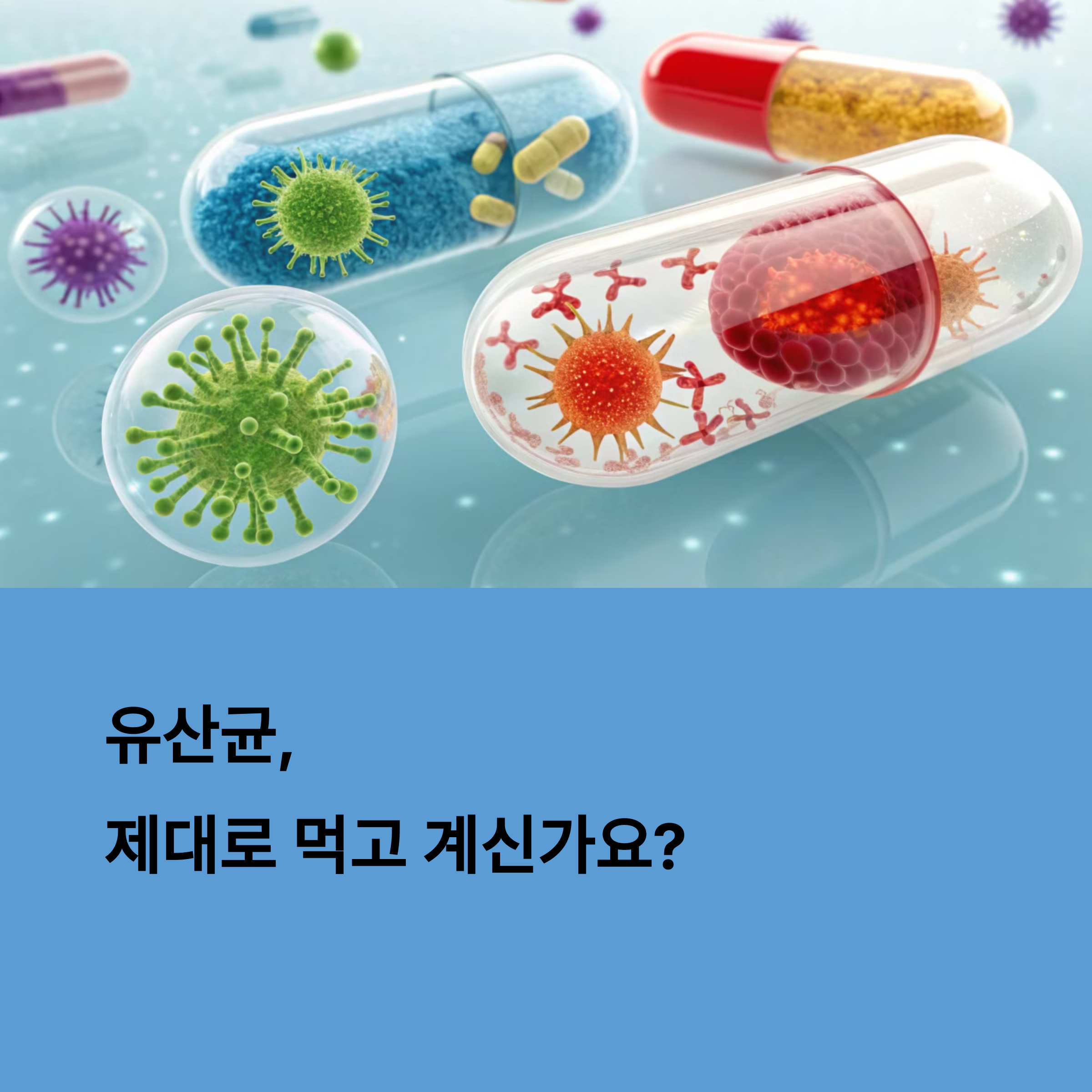 다양한 유산균과 바이오 성분이 들어있는 알약 이미지, '유산균, 제대로 먹고 계신가요?'라는 질문 문구 포함