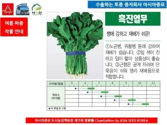 &amp;quot;여름