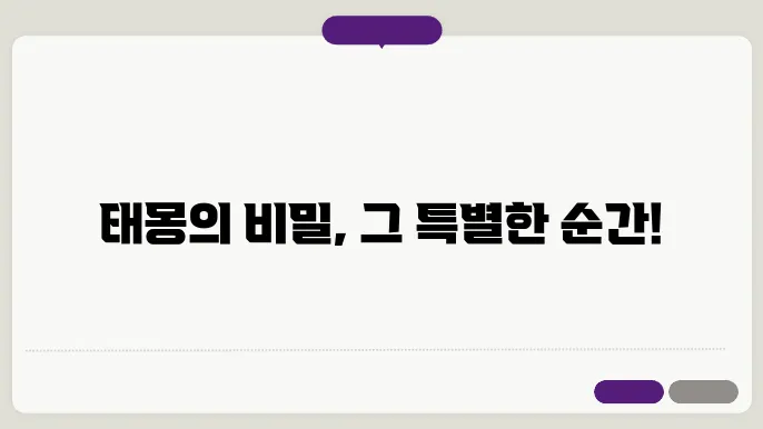 태몽꾸는시기
