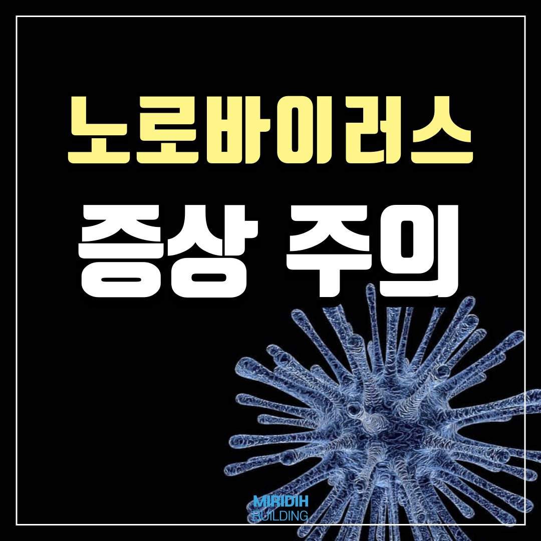 노로바이러스 증상
