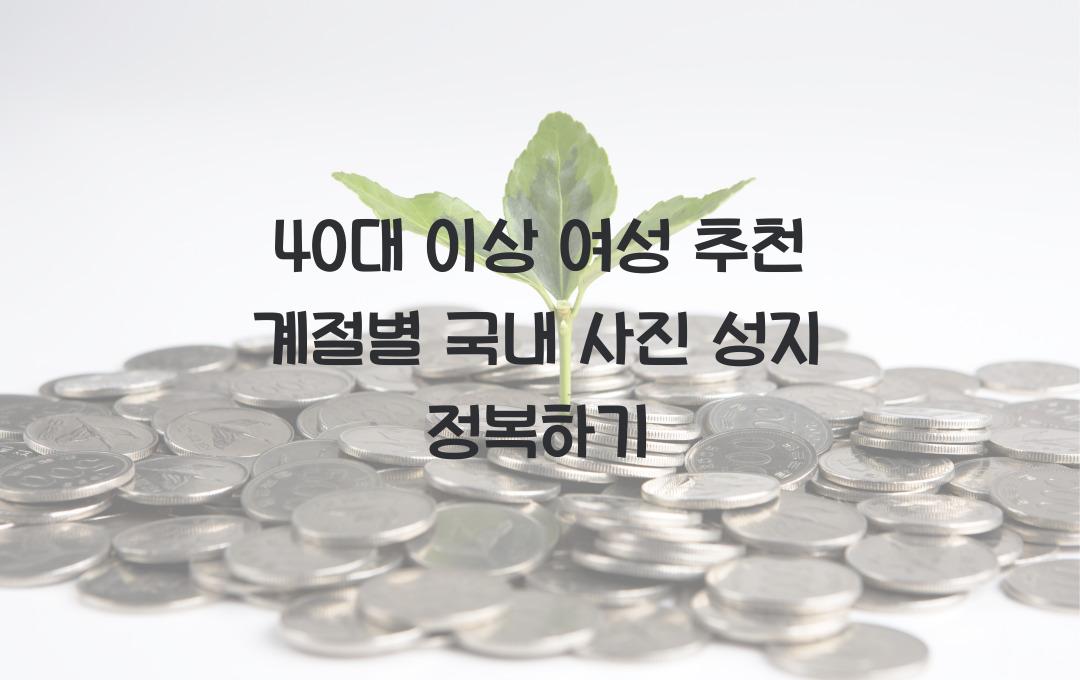 40대 이상 여성 추천! 계절별 국내 사진 명소