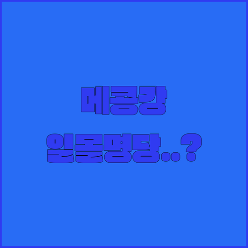 메콩강 일몰이 눈앞에 펼쳐지는 후아이..