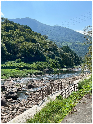 화개천 계곡 