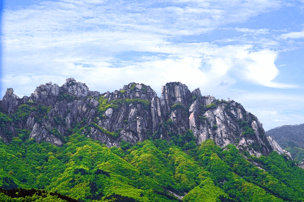 절벽처럼 생긴 큰 바위산이 있고 바위산 앞에는 푸른 숲이 있다. 설악산 울산바위 풍경이다.