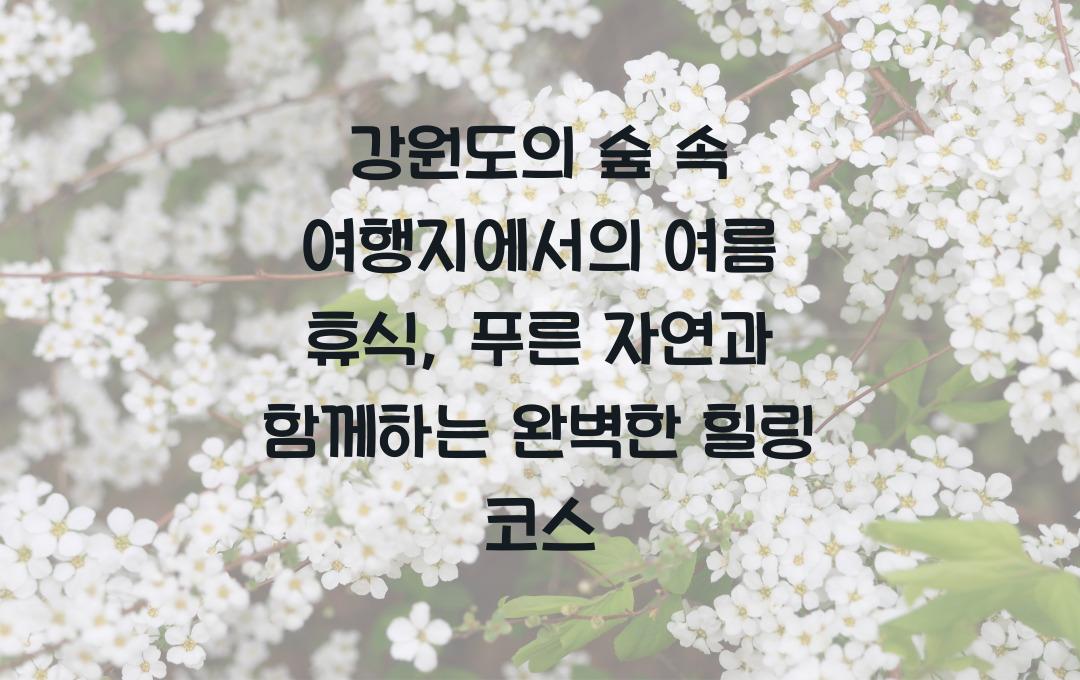 강원도의 숲 속 여행지에서의 여름 휴식