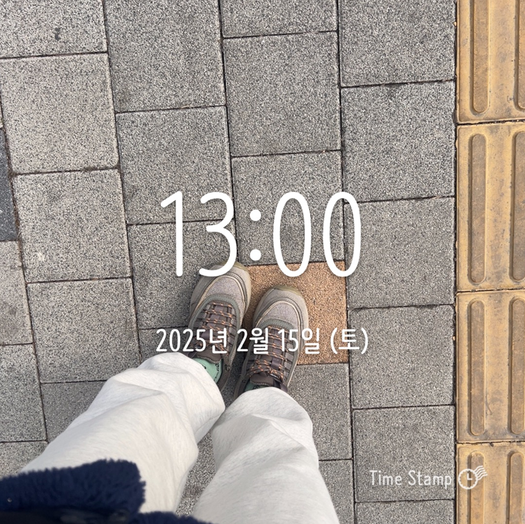 임장-시작-발도장