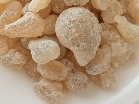 보스웰리아 무릎관절에 도움