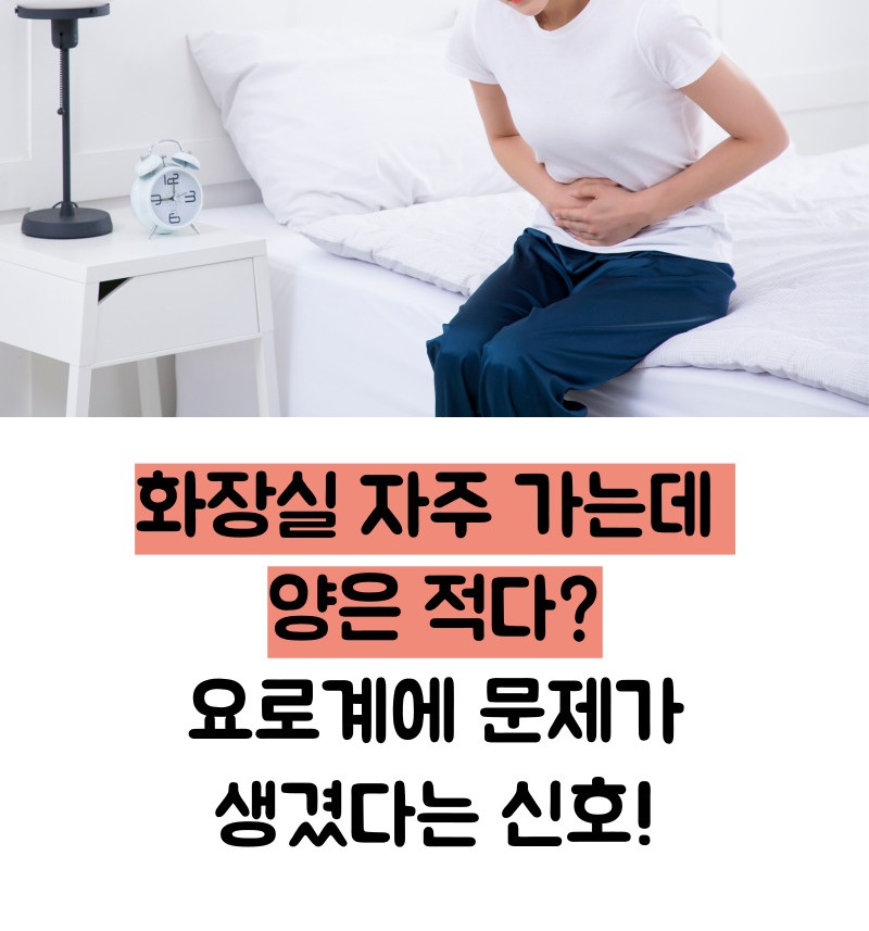 요로결석 증상