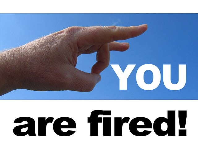 손사락 이미지과 YOU ARE FIRED! 라는 문구가 있다