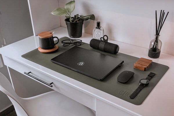 식물로 공부 집중 효과 극대화하는 방법