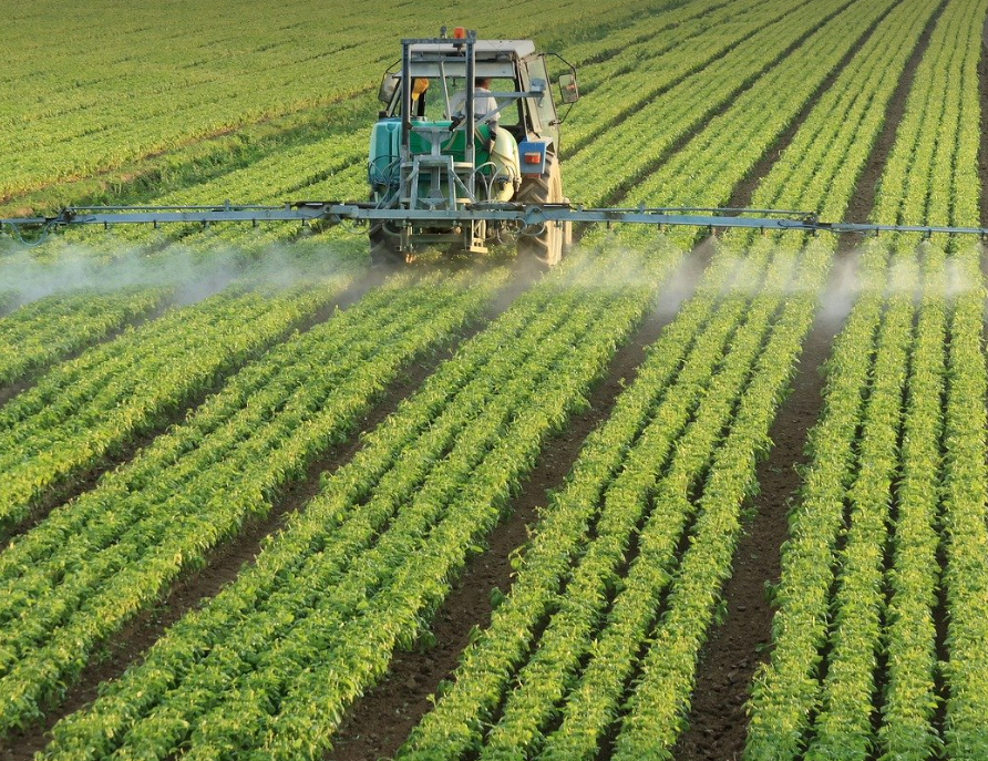 농업 기술 특허 (농업 농사 관련 사진)