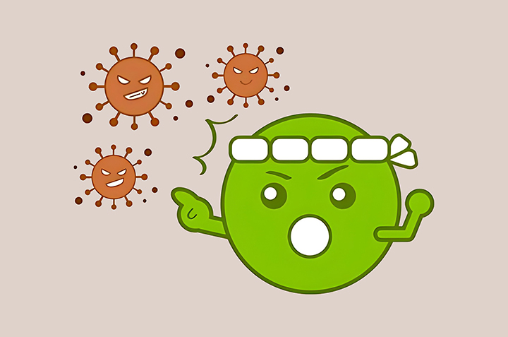 면역력-강화에-도움