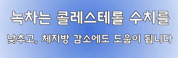  녹차는 콜레스테롤 수치를 낮추고, 체지방 감소에도 도움이 됩니다