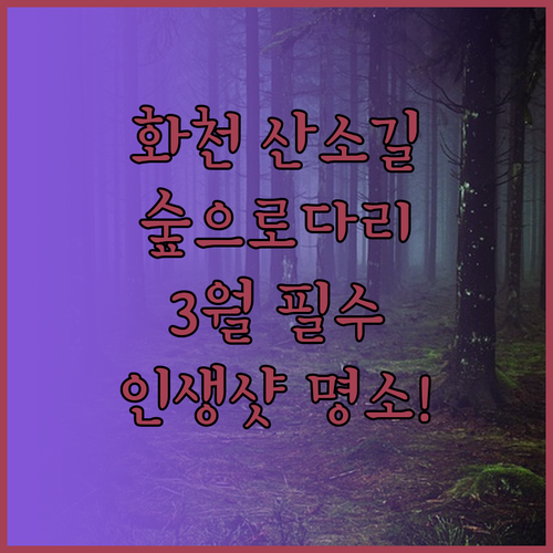 강원도 화천 3월 가볼만한곳 산소길 ..
